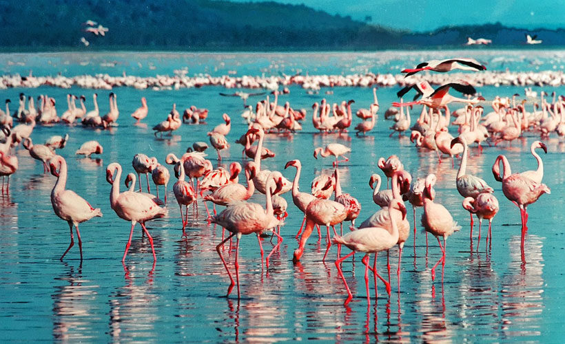 Lake Baringo Experience ( 19th , OCT 2024 ).